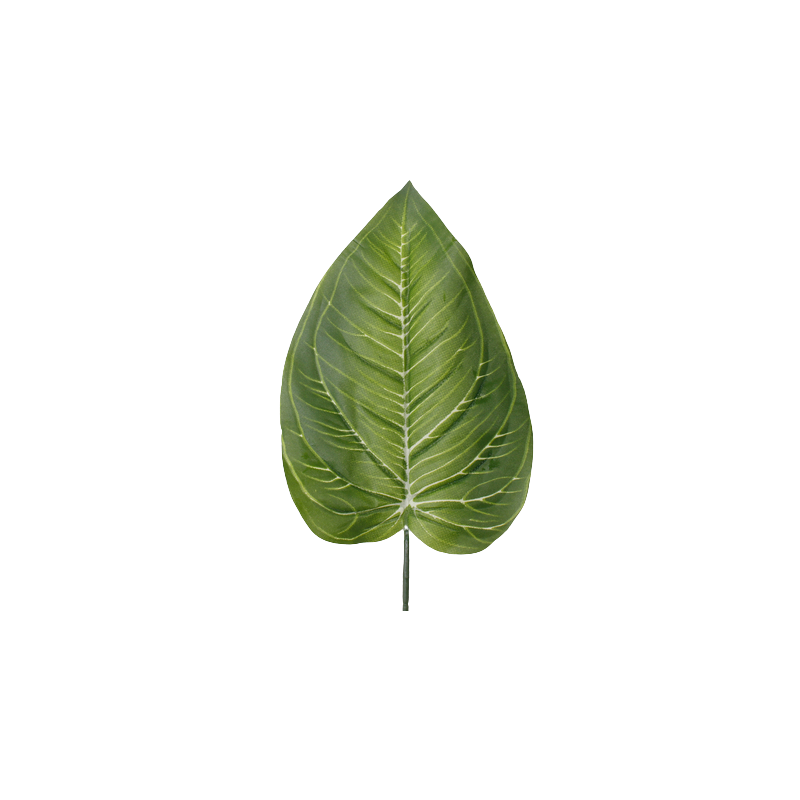 Feuille Artificielle Hosta | Grossiste Fleuriste | Qualité Prix