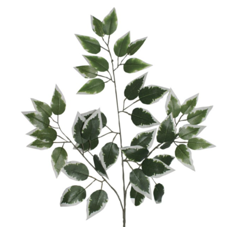 Feuillage Ficus | Plantes Artificielles | Qualité Prix
