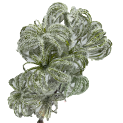 Feuillage Artificiel | Grossiste Plantes Artificielles | Qualité Prix