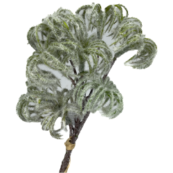 Feuillage Artificiel | Grossiste Plantes Artificielles | Qualité Prix