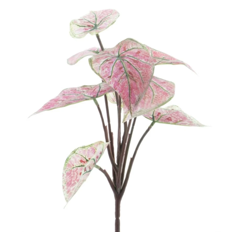 Feuillage Artificiel | Grossiste Plantes Artificielles | Dieffenbachia