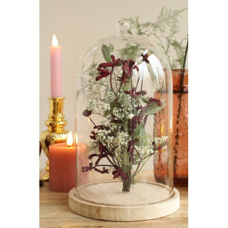 Cloche en verre  | Fournisseur Verrerie | Qualité Prix
