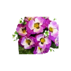 Piquet Pensée Artificielle | Grossiste Fleuriste | Qualité Prix
