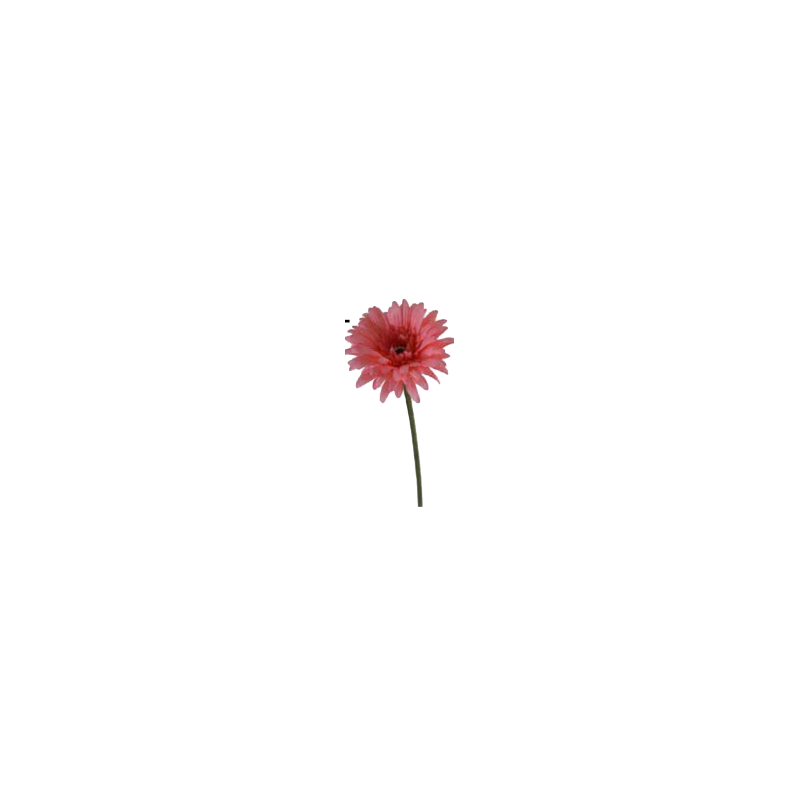 Gerbera artificiel | Fleurs Artificielles | Pas cher