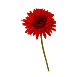 Gerbera artificiel | Fleurs Artificielles | Pas cher