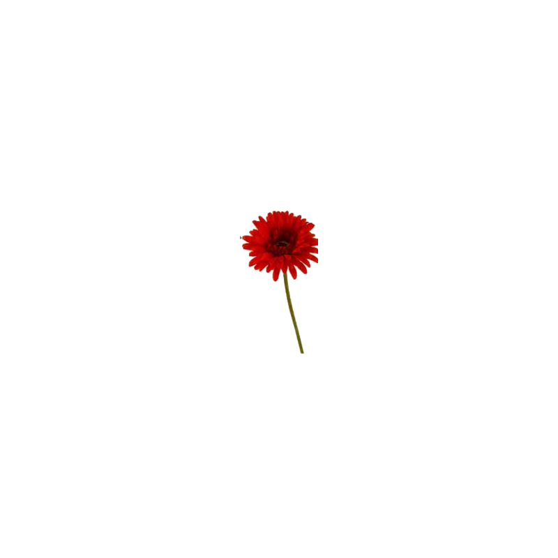 Gerbera artificiel | Fleurs Artificielles | Pas cher