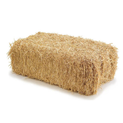 Botte de Paille | Naturelle | Grossiste Fleuristes
