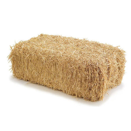 Botte de Paille | Naturelle | Grossiste Fleuristes