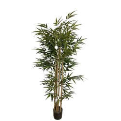 Bambou semi-artificiel | Plantes Artificielles | Grossiste