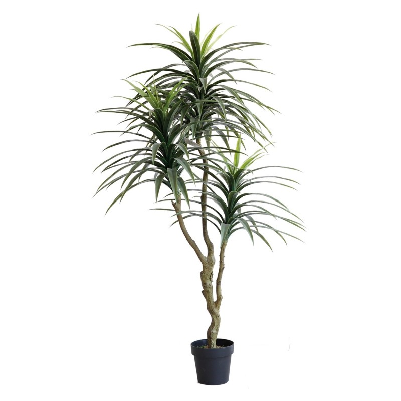 Dracena artificiel | Plantes Artificielles | Grossiste