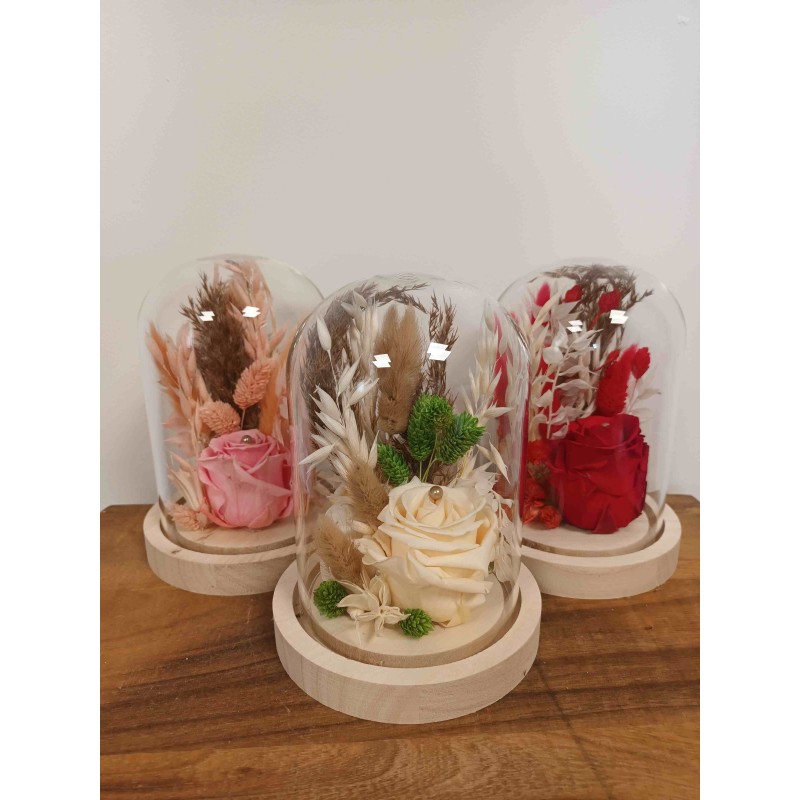 Rose stabilisée fleurs séchées | Grossiste fleuristes | Qualité prix