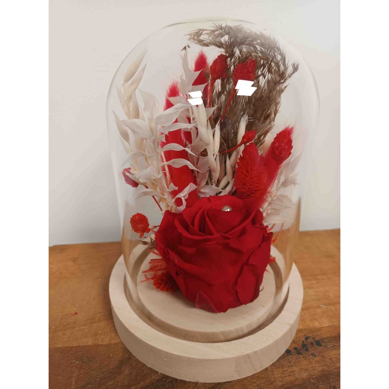 Rose stabilisée fleurs séchées | Grossiste fleuristes | Qualité prix