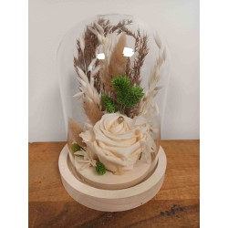 Rose stabilisée fleurs séchées | Grossiste fleuristes | Qualité prix