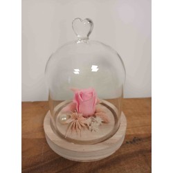Cloche Petite Rose Eternelle  | Fournisseur Verrerie | Qualité Prix