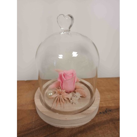 Cloche Petite Rose Eternelle  | Fournisseur Verrerie | Qualité Prix