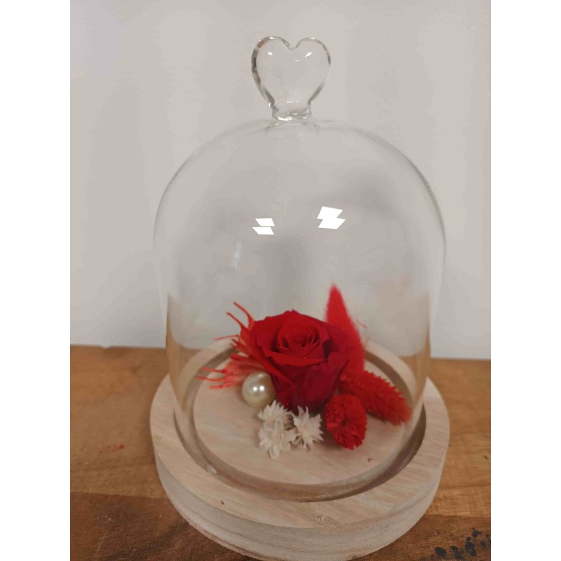 Cloche Petite Rose Eternelle  | Fournisseur Verrerie | Qualité Prix