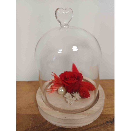 Cloche Petite Rose Eternelle  | Fournisseur Verrerie | Qualité Prix