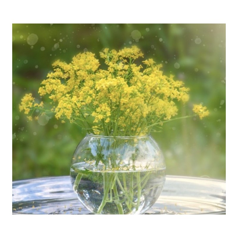 Globe en verre  | Grossiste verrerie  | Qualité Prix