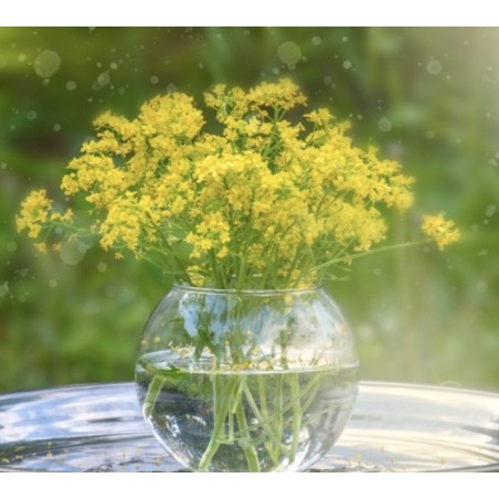 Globe en verre  | Grossiste verrerie  | Qualité Prix