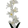 Orchidée Artificielle pas chère  "Gaia"- Différentes couleurs