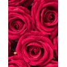 Rose artificielle  "Isadora" H75 - Rose