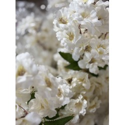 Branche pommier artificiel  crème 83cm ++