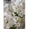 Branche pommier artificiel  crème 83cm ++