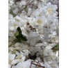 Branche pommier artificiel  crème 83cm ++