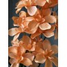 Orchidée Artificielle pas chère  "Gaia"- Différentes couleurs