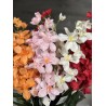 Orchidée Artificielle pas chère  "Gaia"- Différentes couleurs