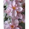 Orchidée Artificielle pas chère  "Gaia"- Différentes couleurs