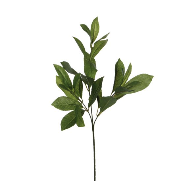 Feuillage Laurier | Plantes Artificielles | Qualité Prix