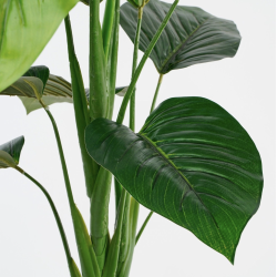 Philodendron artificiel | Plantes Artificielles | Grossiste