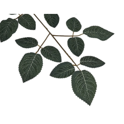Feuillage Artificiel | Grossiste Plantes Artificielles | Qualité prix
