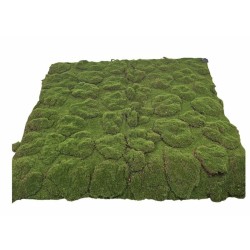 Mousse Artificielle | Décoration | Grossiste Fleuristes
