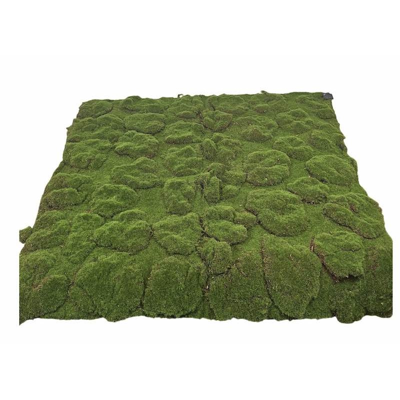 Mousse Artificielle | Décoration | Grossiste Fleuristes
