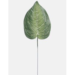 Feuille Artificielle Hosta | Grossiste Fleuriste | Qualité Prix