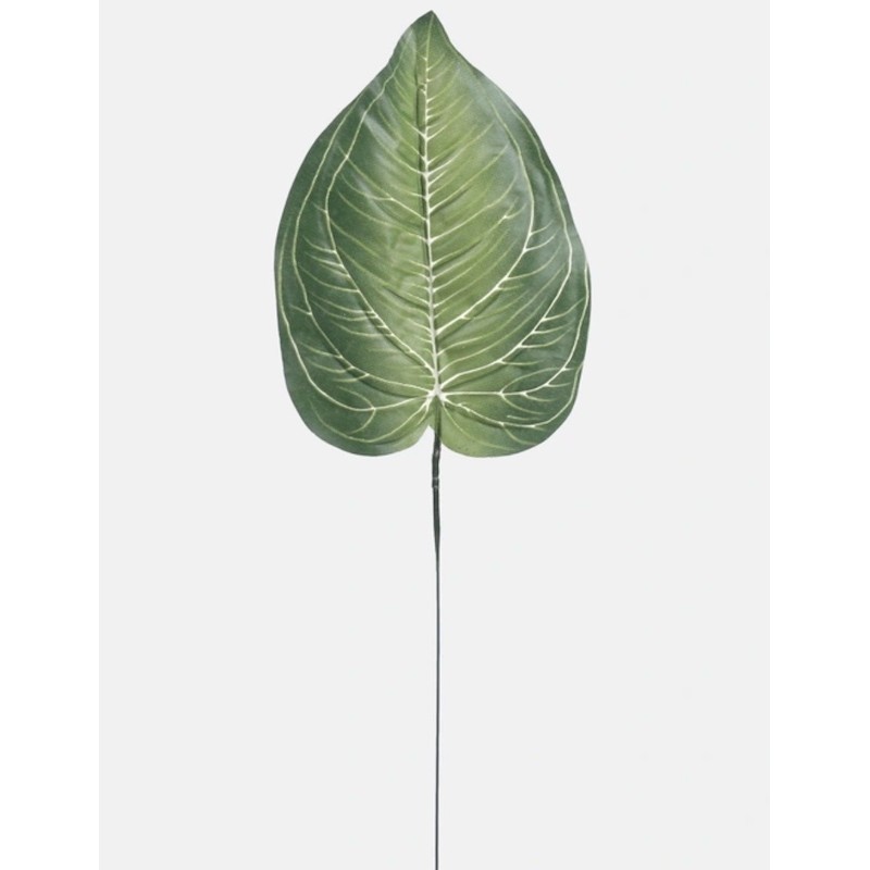 Feuille Artificielle Hosta | Grossiste Fleuriste | Qualité Prix