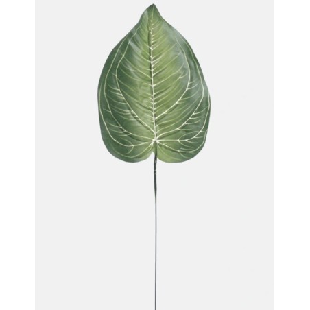 Feuille Artificielle Hosta | Grossiste Fleuriste | Qualité Prix