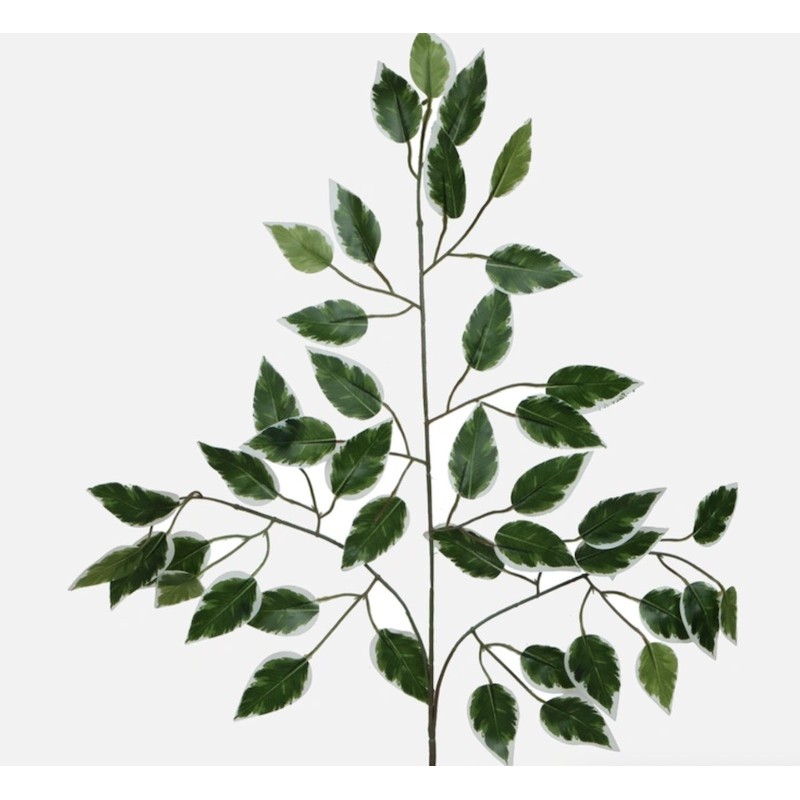 Feuillage Ficus | Plantes Artificielles | Qualité Prix