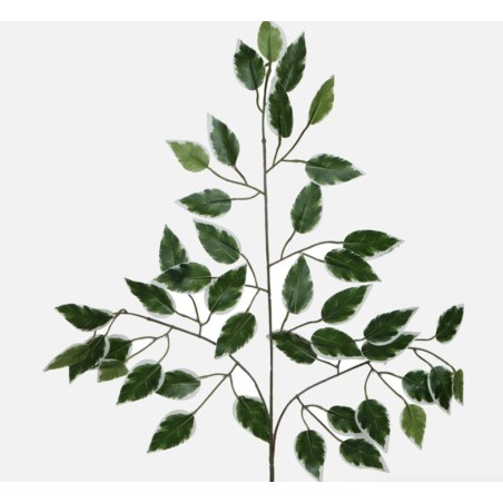 Feuillage Ficus | Plantes Artificielles | Qualité Prix