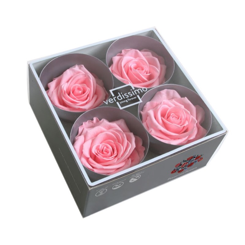 Rose Stabilisée  | Grossiste Fleuristes | Fleurs Artificielles