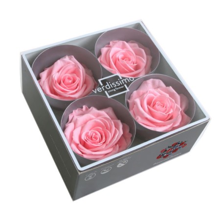Rose Stabilisée  | Grossiste Fleuristes | Fleurs Artificielles