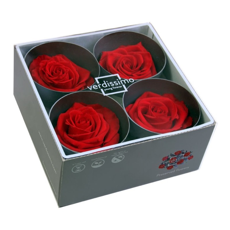 Rose Stabilisée  | Grossiste Fleuristes | Fleurs Artificielles