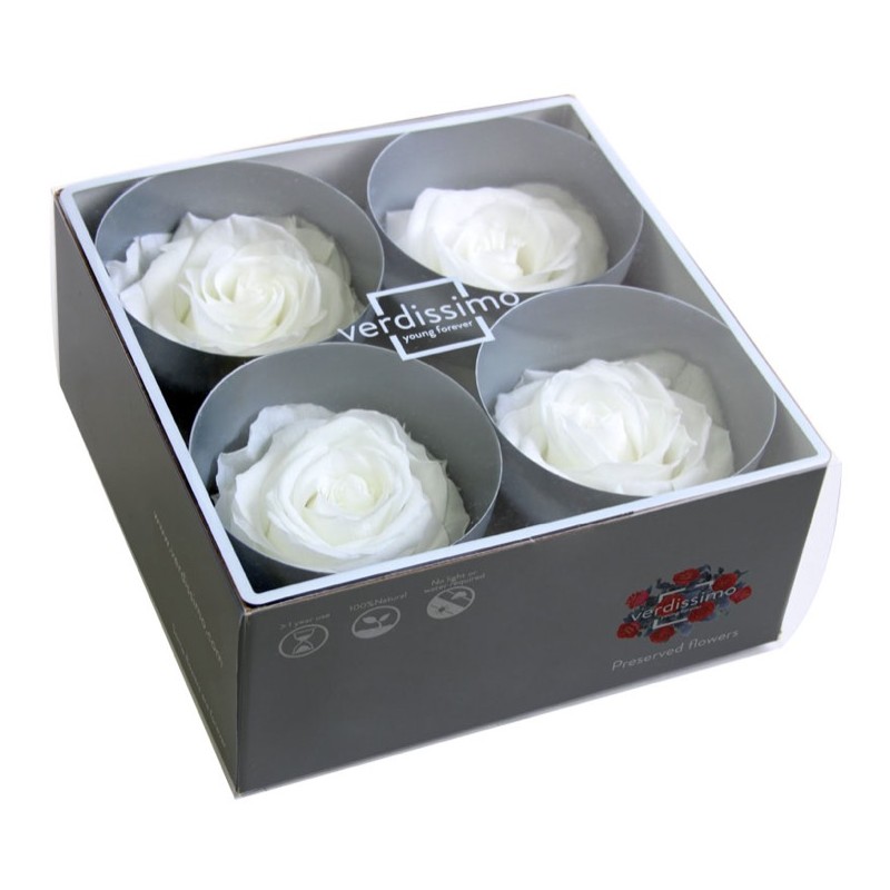 Rose Stabilisée  | Grossiste Fleuristes | Fleurs Artificielles
