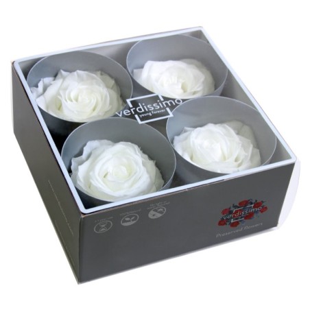 Rose Stabilisée  | Grossiste Fleuristes | Fleurs Artificielles