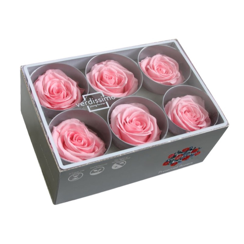 Rose Eternelle | Grossiste Fleuristes | Fleurs stabilisées