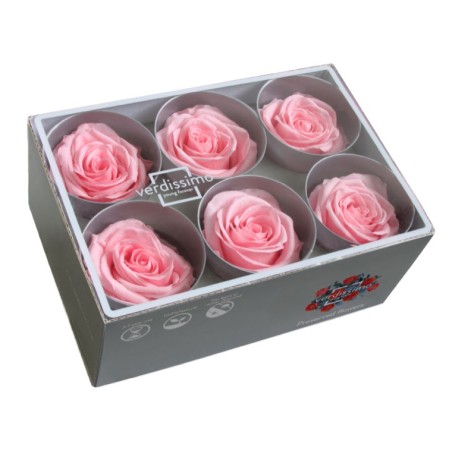 Rose Eternelle | Grossiste Fleuristes | Fleurs stabilisées
