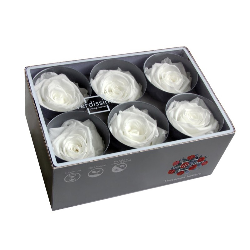Rose Eternelle | Grossiste Fleuristes | Fleurs stabilisées
