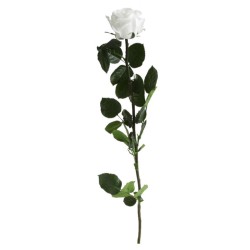 Rose eternelle sur tige | Grossiste Fleuristes | Fleurs Stabilisées